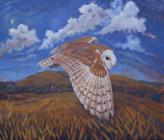 Barn Owl and Hambledon Hill - 24x28inches