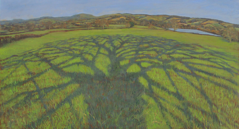 In the shadow of a great oak