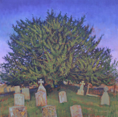 Yew tree Iwerne Minster churchyard - 20x20inches